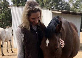 Horse course proves value for at-risk students