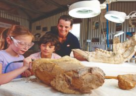 Fact finding mission set to develop dinosaur tourism in Queensland