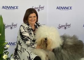 Cats and dogs take centre stage at Sydney Royal Easter Show