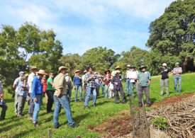 Free biodiversity field days prove popular with landholders