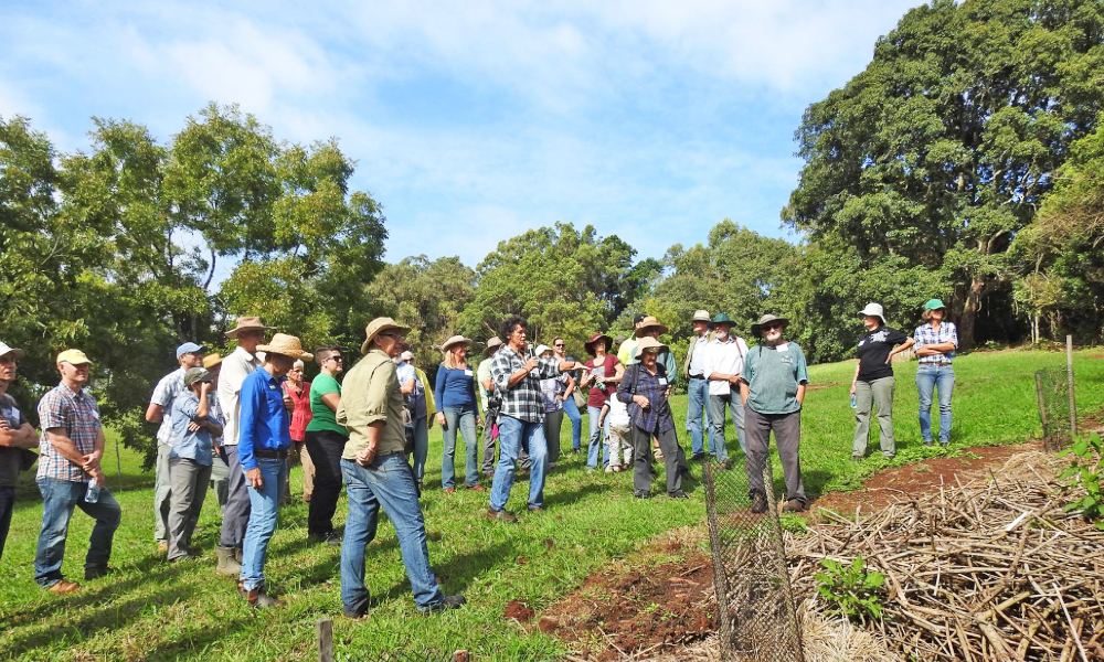 Free biodiversity field days prove popular with landholders Get Regional