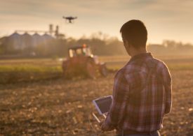 Farm Business Financial Management for dry seasons