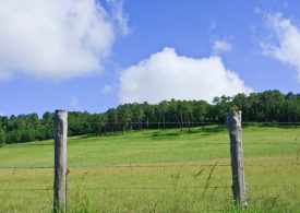 $1M funding for Esperance vermin extension fence