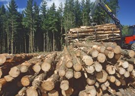 Landmark agreement secures the future of WA forestry