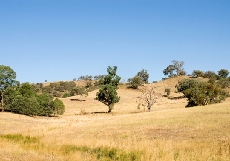 Landcare ready to step up and respond to environmental challenges