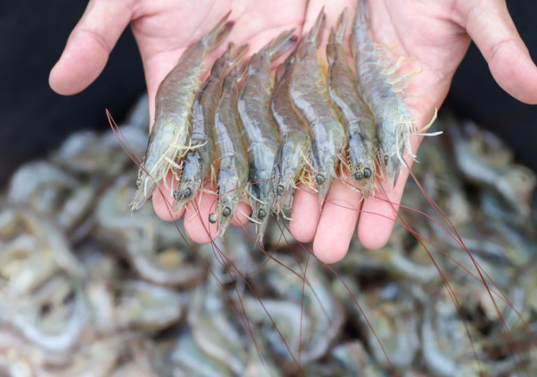 $7 million to boost growth of the Mid-West aquaculture industry