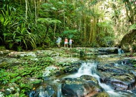 Get active and help stop species extinction