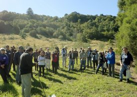 Riparian restoration field day for rural landholders