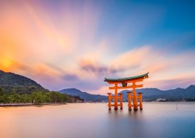 Students and host families wanted for Japanese exchange