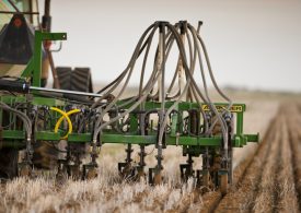 Break the pest cycle before sowing
