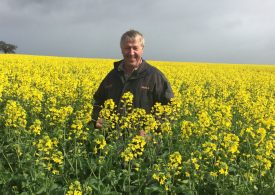 ‘Diversify and Disrupt’ WeedSmart Week 2019 in Horsham