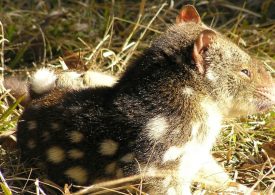 More safe havens needed