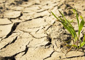 New working group on drought measures