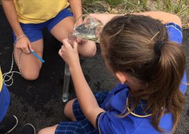 Kids come together for World Environment Day