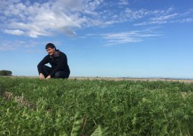 What is the cost of soil-borne crop disease?