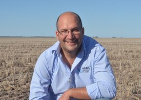 Grain profit in focus at GRDC Updates in NSW