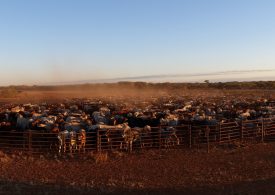 On-farm emergency water rebate scheme