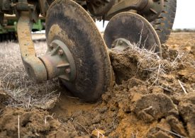 Growers invited to get hands dirty at soils forums