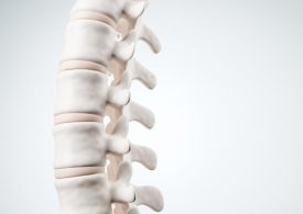 5 questions to ask your chiropractor