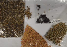 Unseen does not mean clean