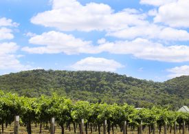 Gippsland’s foodbowl safe as farmers win certainty