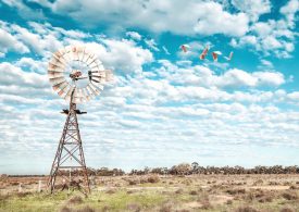 Winners of the 2019 Life and Light in the Western Region announced