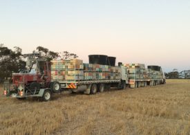 Pollination agreements with beekeepers prevent getting stung