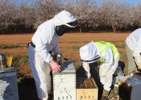 Help at hand for growers and beekeepers