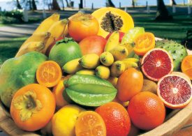 Mapping new agricultural export market opportunities for far north Queensland