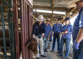 Collaboration with Rockhampton school launches trial to support agriculture’s leaders of tomorrow