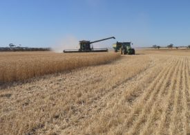 Questions to ask harvest contractors to protect your property