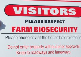 Springtime grain inspection tips