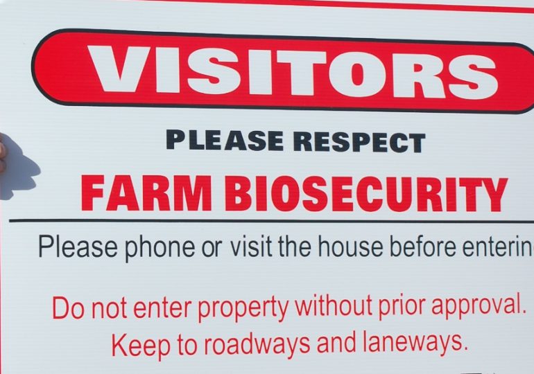 Springtime grain inspection tips
