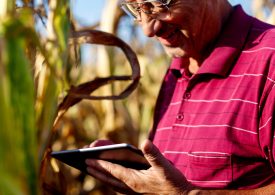 Podcast boom from farm to phone – the new way to hear rural stories