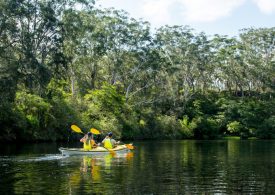 Sydney’s bushland retreat at Lane Cove offers Spring deal
