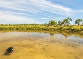 Groundwater allocations available across NSW