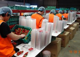 Make sure hitch hikers don’t arrive with backpacker labour