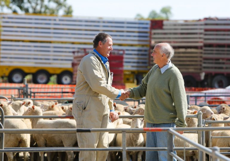 Local Land Services Board applications open Get Regional