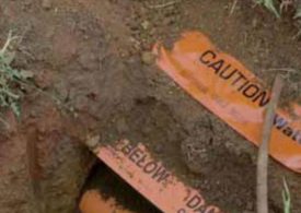 New automated service a win-win in Lismore