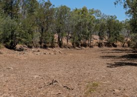 States need to step up on drought