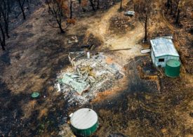 NSW Government coordinates bushfire clean-up
