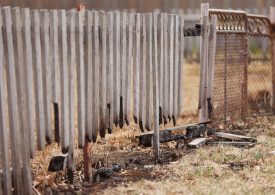Farming communities hit hard by bushfires