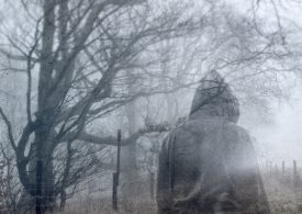 Immediate mental health support for bushfire-hit communities