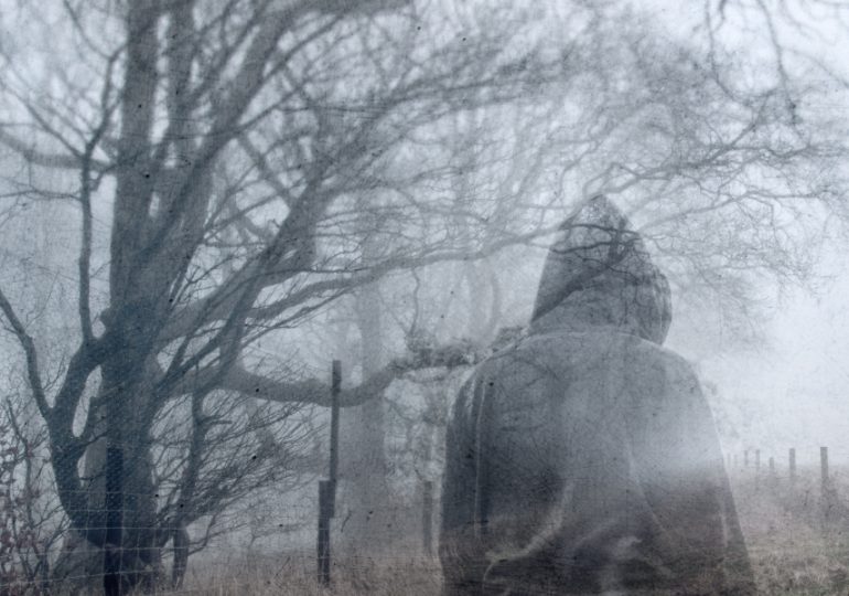 Immediate mental health support for bushfire-hit communities