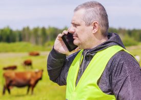 Online service provision for safety of customers and staff