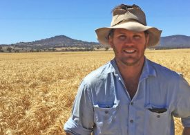 Bundella grower lands a top crop with Lancer