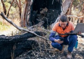 $140 million to boost critical industries damaged by bushfires