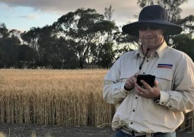 WA wheat program bolstered by new expert recruit
