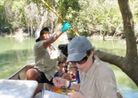 Make the North’s water your business in online forums