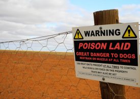 EPA issues fine for breach of dog baiting rules